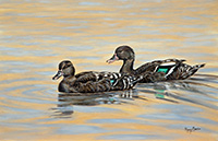 Black Duck