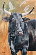 Black Nguni Cow