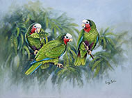 Cuban Parrots