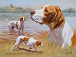 English Pointer