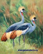 'Grey Crowned Cranes'