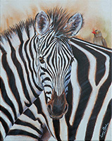 Zebra with Oxpecker